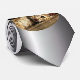 Gravata Gatinho Doméstico no Resto