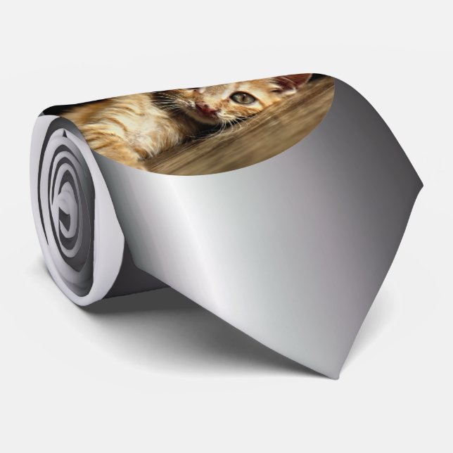 Gravata Gatinho Doméstico no Resto (Rolled)