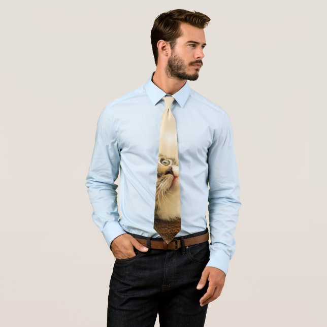 Gravata Gatinho Fofo com uma Pata Estimulada (In Situ)