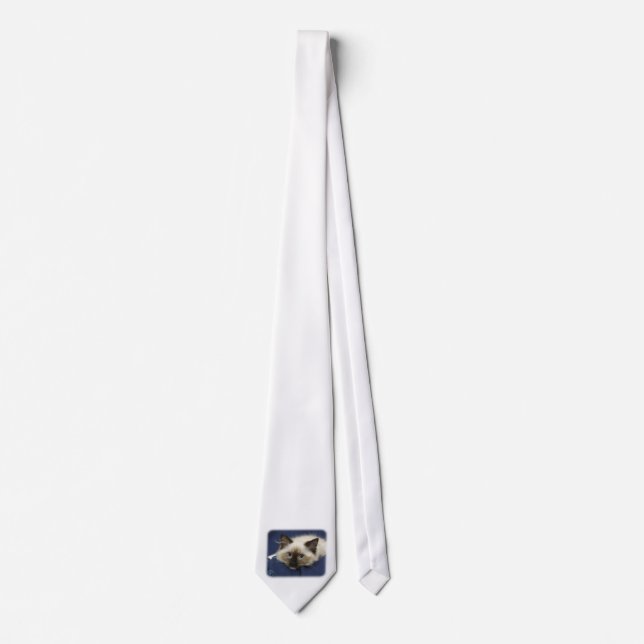 Gravata Gato 9W082D-020 de Ragdoll (Frente)