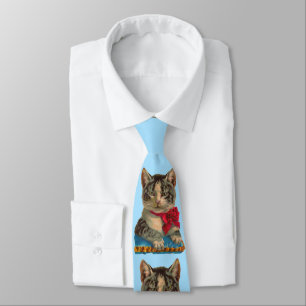 Gravata gato-do-mato-vitoriano