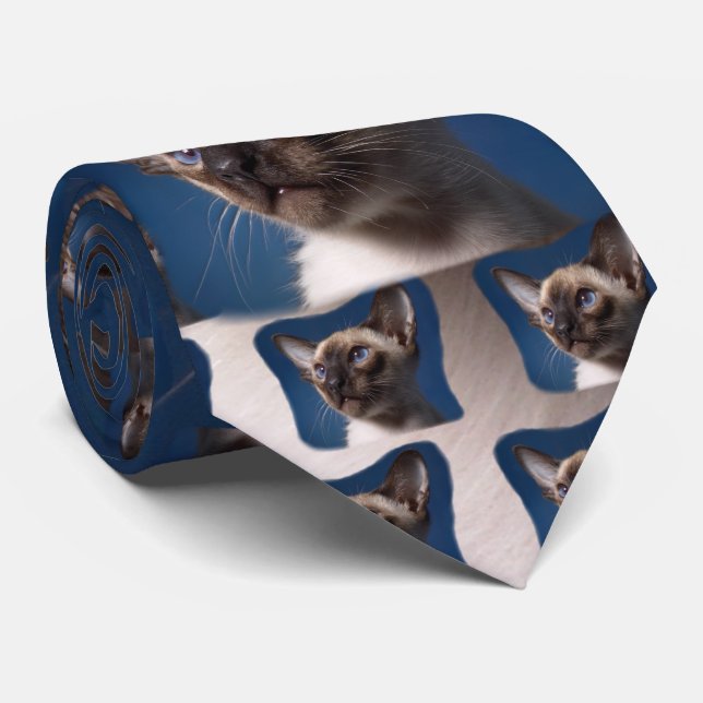 Gravata Gato Siamese com olhos azuis (Rolled)