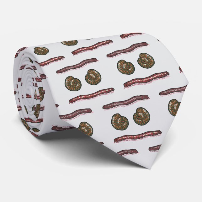 Gravata Giant Millipede (Rolled)