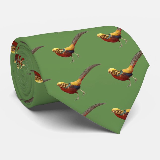 Gravata Golden Pheasant (Rolled)