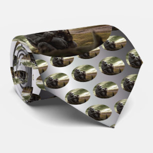 Gravata Gorilla leva para o comprimido