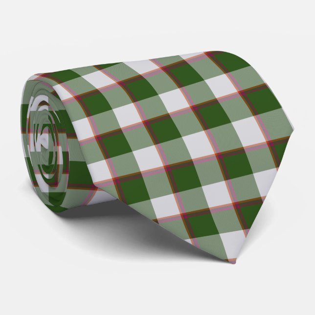 Gravata Green House and Mischka Gray Plaid Neck Tie (Rolled)