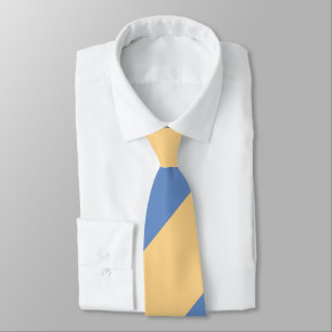 Gravata Greve Regional Ampla de Buff e Sky Blue