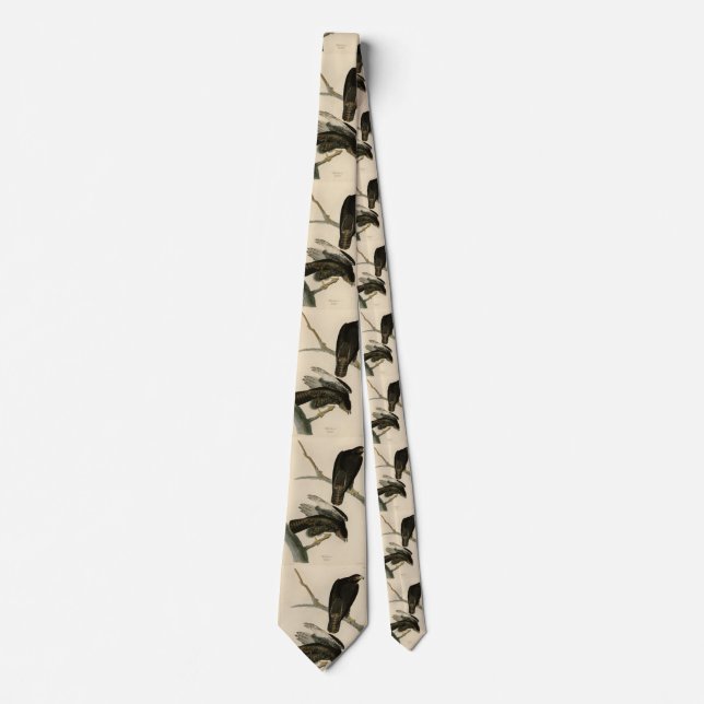 Gravata Guerreiro Negro (Falcão de cauda vermelha) de Aves (Frente)