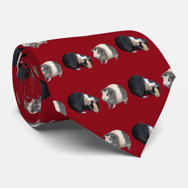 Gravata Guinea pig (Rolled)