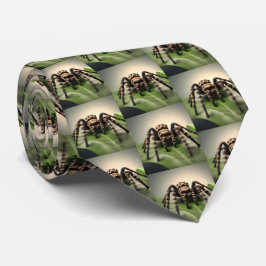 Gravata Hairy australiana Tarantula: O Gentil Giant da Nat