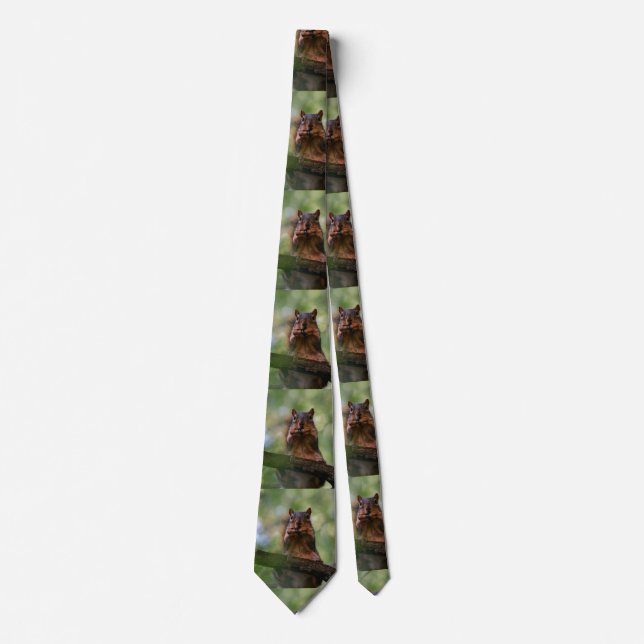 Gravata Harmonica Squirrel Tie (Frente)