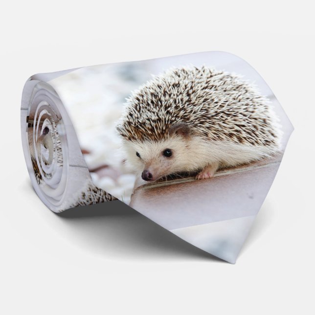 Gravata Hedgehog (Rolled)