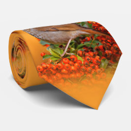 Gravata Hermit Thrush Songbird no espinho-de-espinho