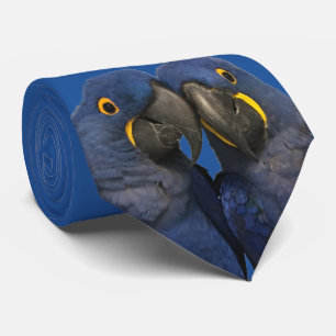 Gravata Hyacinth Macaw Pássaro Rare Azul