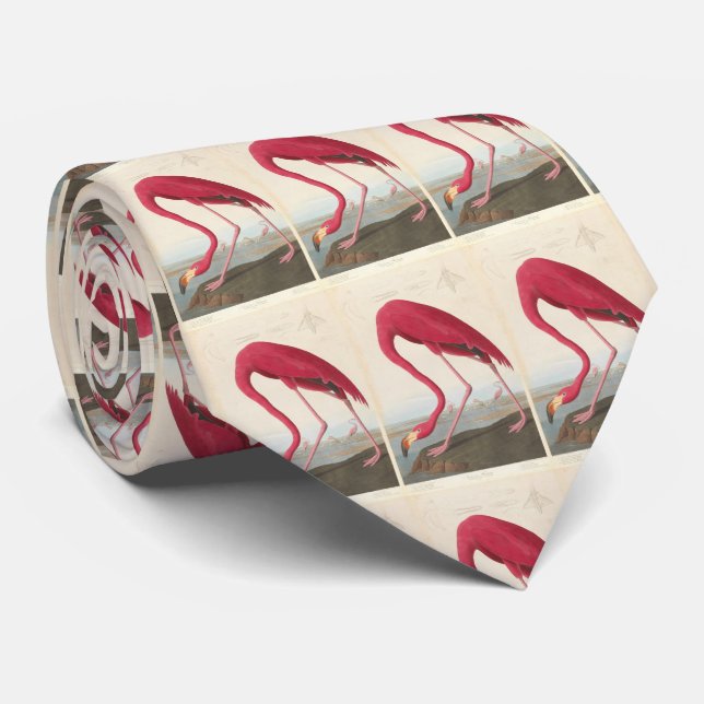 Gravata Ilustração Vintage Flamingo (1838) (Rolled)