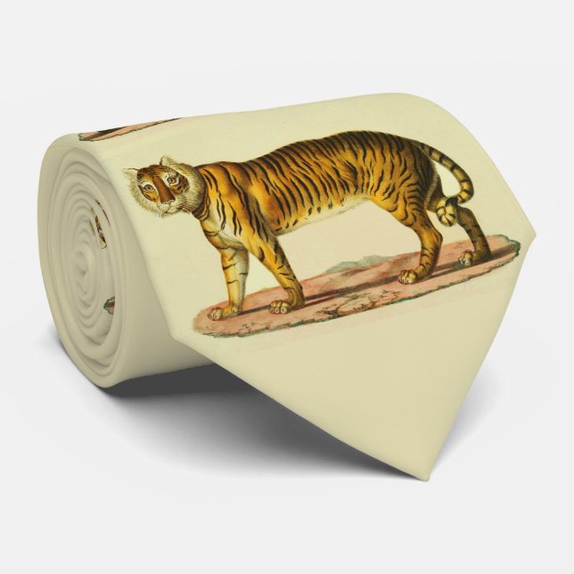 Gravata impressão de tigre 1824 (Rolled)