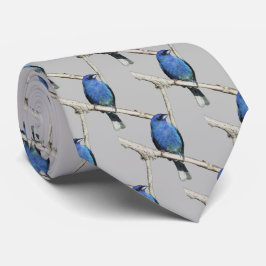 Gravata Indigo Bunting Neck Tie