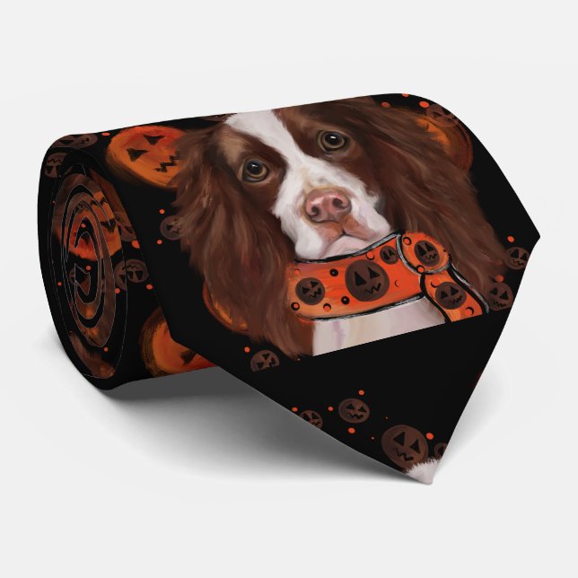 Gravata Inglês Springer Spaniel (Rolled)