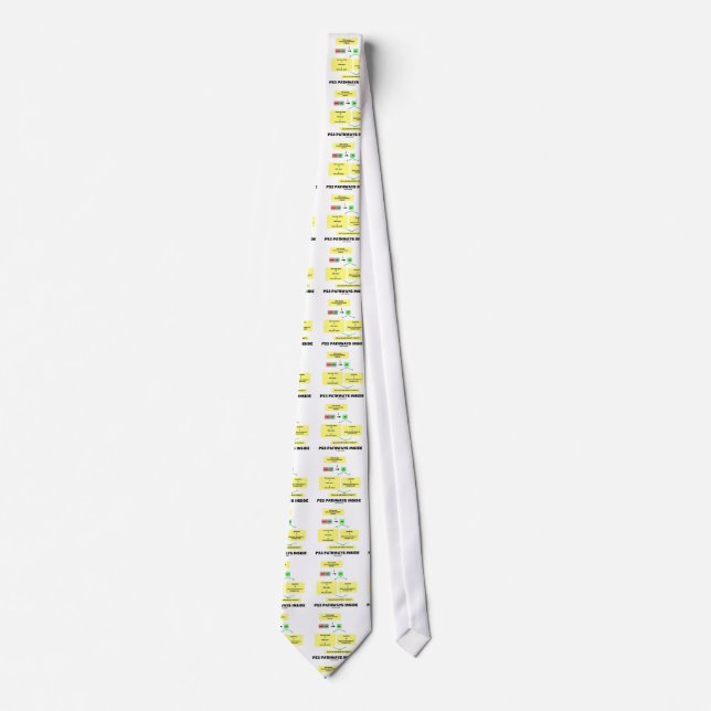 Gravata Interior dos caminhos P53 (biologia molecular da (Frente)