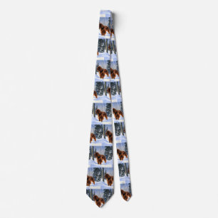 Gravata Irish Setter Deixe-o nevar no Natal