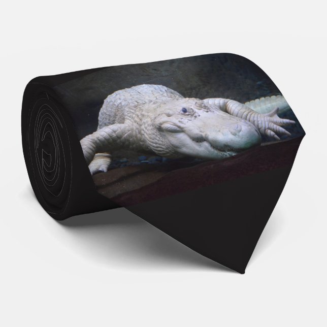 Gravata Jacaré branco de Louisiana novo (Rolled)