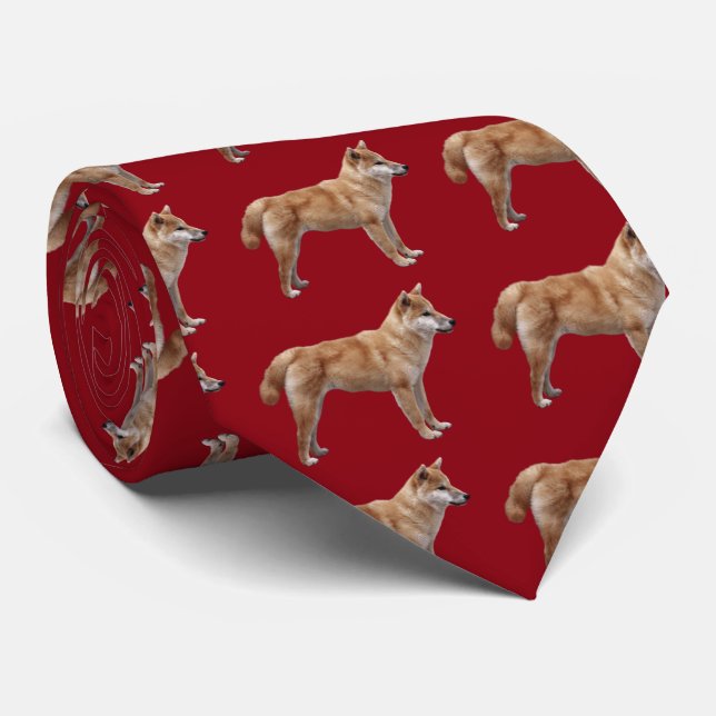 Gravata Japanese Shiba Inu (Rolled)