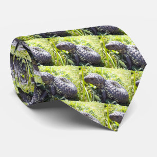 Gravata Jovem Língua Azul Australiana Lizard,