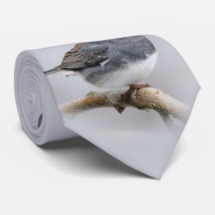 Gravata Junco de Olhos Escuros com Cor Escuros na Árvore d