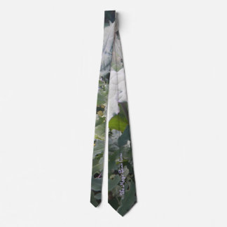 Gravata Kale Tie