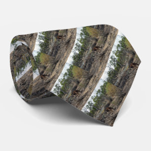 Gravata Kangaroo Entretanto No Billabong,