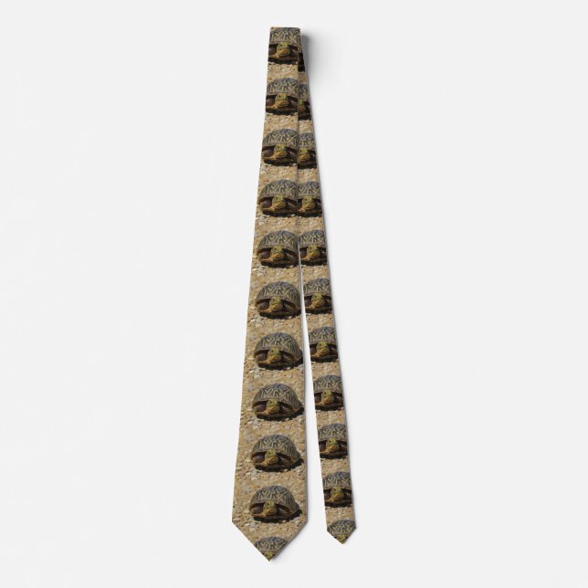 Gravata Kansas Box Shell Turtle TIE! (Frente)
