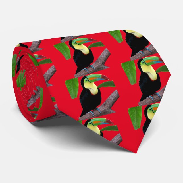 Gravata Keel-billed Toucan (Rolled)