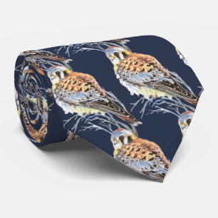 Gravata Kestrel americano da aguarela, falcão do pássaro