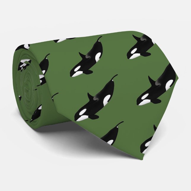 Gravata Killerwhale , Orcinus orca (Rolled)