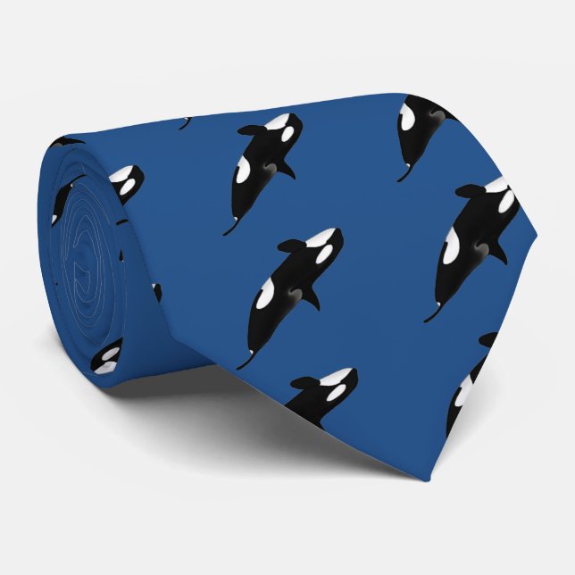 Gravata Killerwhale, Orcinus orca (Rolled)