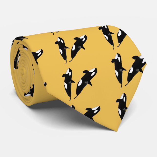 Gravata Killerwhale, Orcinus orca (Rolled)