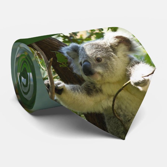 Gravata Koala urso -2, (Rolled)
