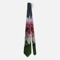 Laço da fotografia da flor de Lotus