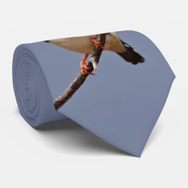 Gravata Laço do passarinho de zebra (Rolled)