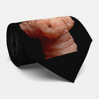 Gravata Laço do pescoço - tapeworm do erinaceieuropaei de