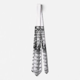 Gravata Laço do raio X