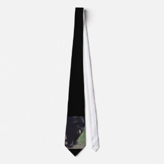 Gravata Laço do urso preto
