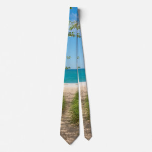 Gravata Lago Michigan Tranquilidade Neck Tie