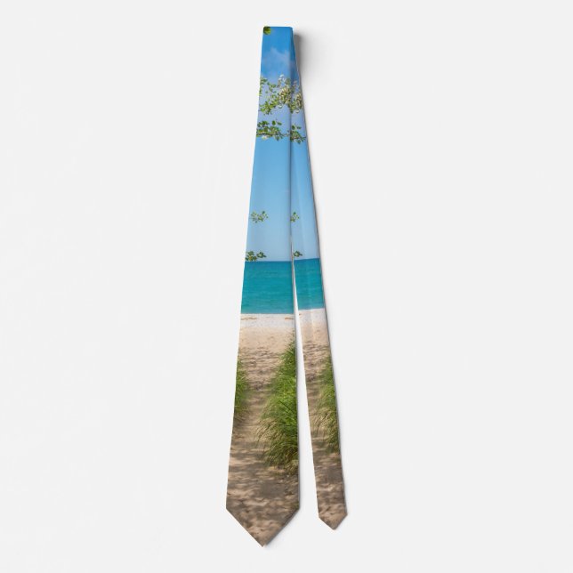 Gravata Lago Michigan Tranquilidade Neck Tie (Frente)