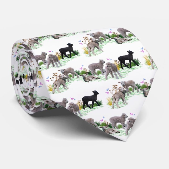 Gravata Lamb Meadow (escolha a cor) (Rolled)