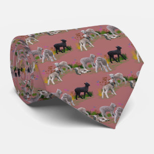 Gravata Lamb Meadow Tie (Mistura Rosa Poeirento)