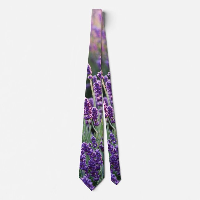 Gravata Lavanda Lusciosa  (Frente)