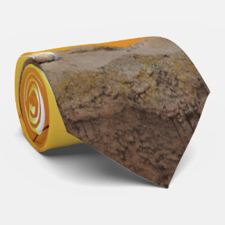 Gravata Leão de montanha no pôr do sol