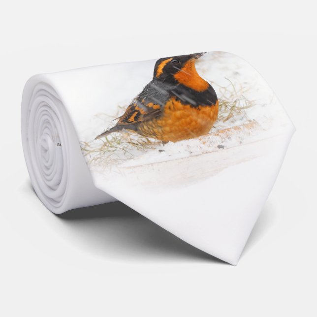 Gravata Linda variedade de sabiá-lo na neve (Rolled)