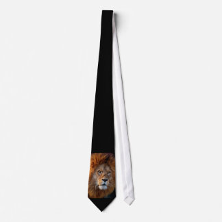 Gravata Lion_20180712_by_JAMFoto